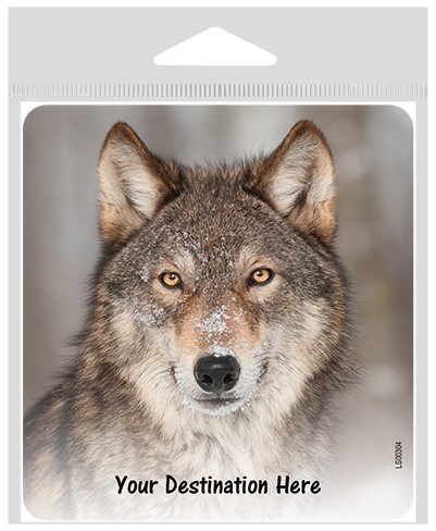 Wolf's face (close-up) large sticker.