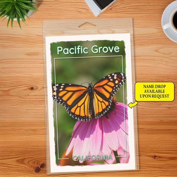 Butterfly Journal 5.5" x 8.5" Booklet