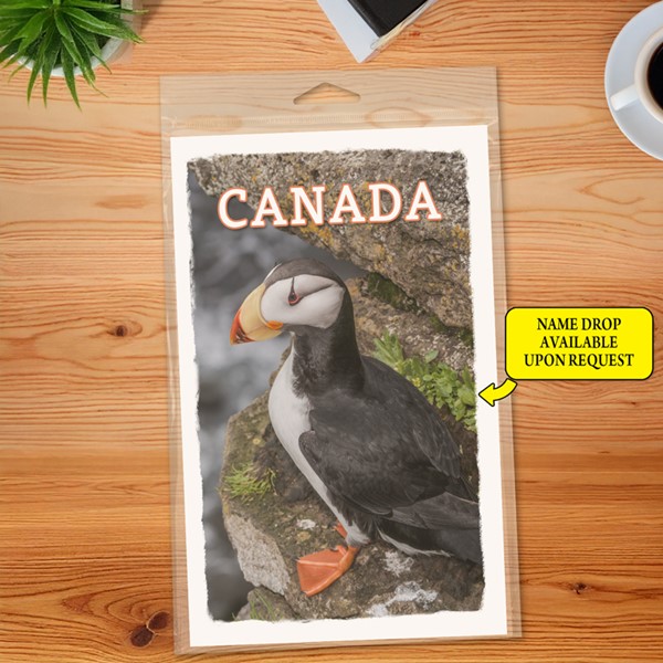 Puffin on rock Journal  5.5" x 8.5" Booklet
