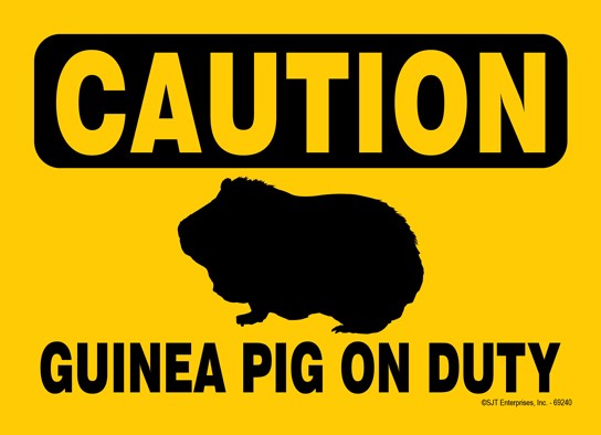 CAUTION - Guinea Pig On Duty 5" x 7" plastic sign
